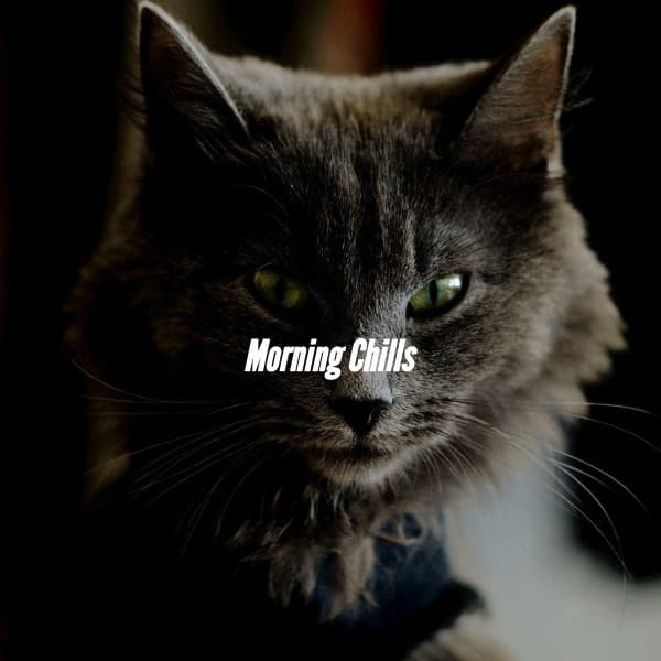 Morning Chills - Jazzy VIbes for Study Time