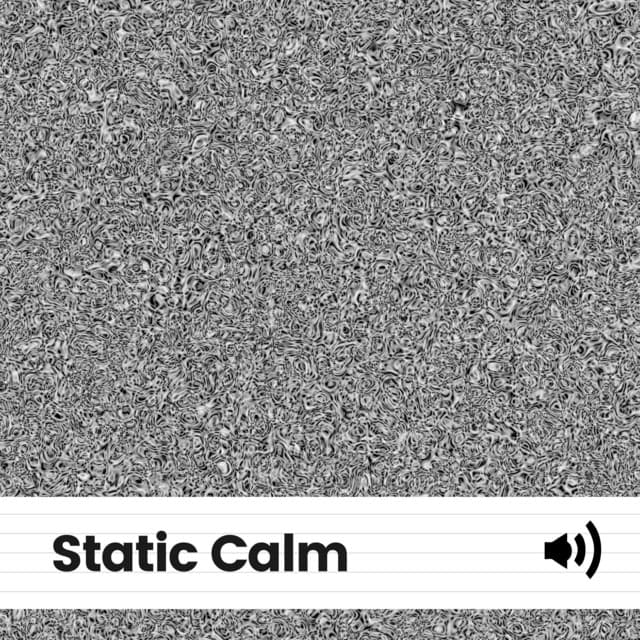 Static Calm - The Background Noise Company