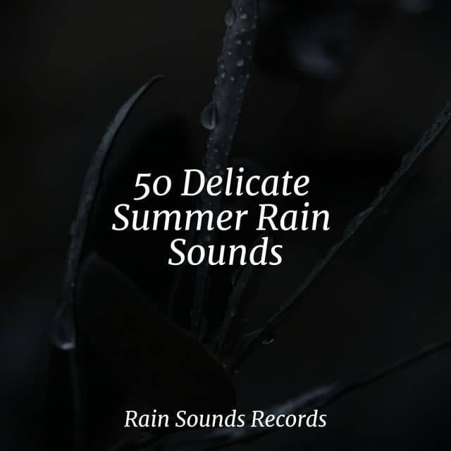 50 Delicate Summer Rain Sounds - Chillout Lounge