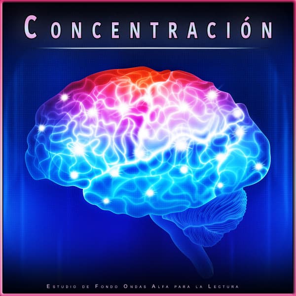 Estudiar Las Ondas Alfa