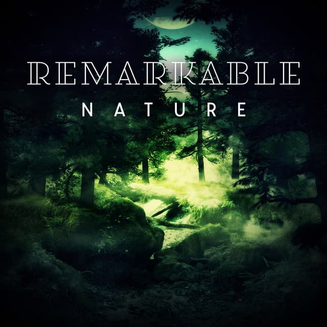 Remarkable Nature: Amazing Sounds from the Wild - Nature Ambience