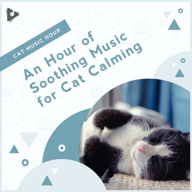 An Hour of Soothing Music for Cat Calming - Cat Music Hour