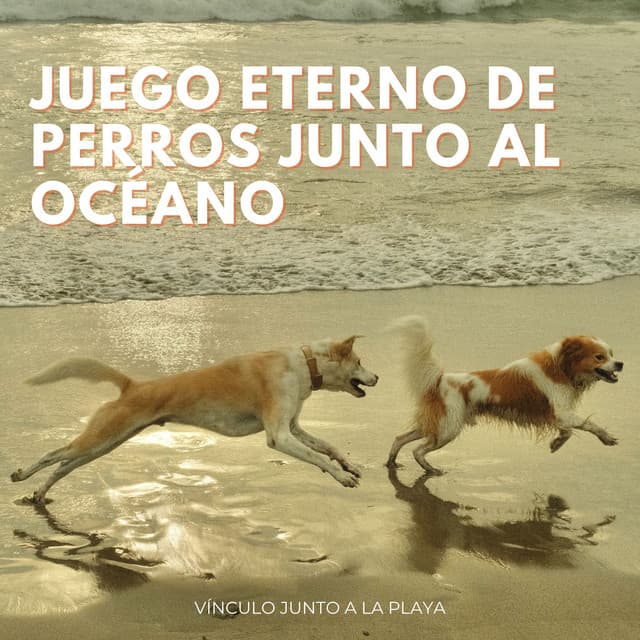 Juego Eterno De Perros Junto Al Océano: Vínculo Junto A La Playa - Melodía de la tierra