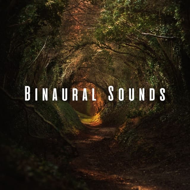 Binaural Sounds: Nature Beats for Stress-free Study Sessions - Nature & Sounds Backgrounds