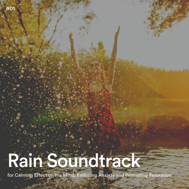 #01 Rain Soundtrack for Calming Effect on the Mind, Reducing Anxiety and Promoting Relaxation - Loopable Rain Sounds