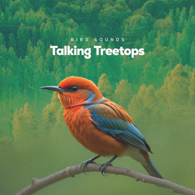 Talking Treetops - Bird Sounds