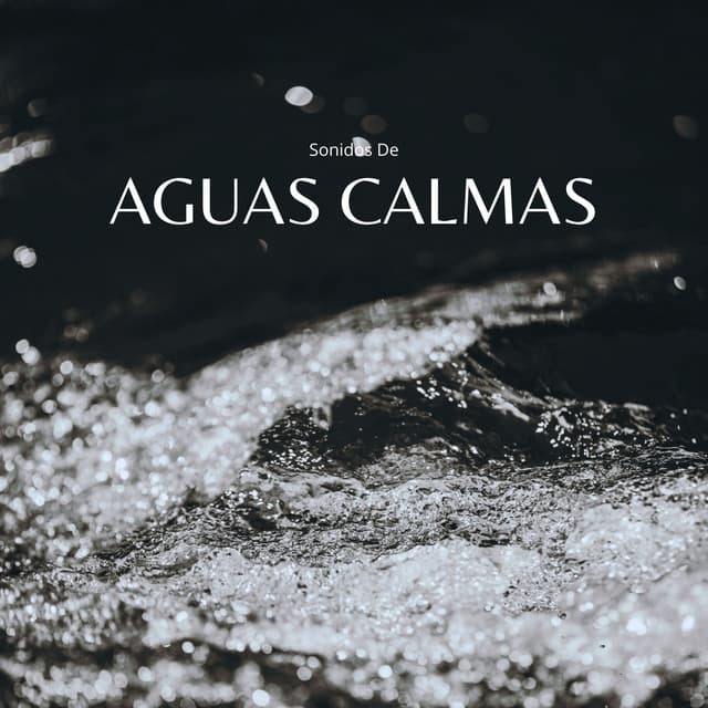 Sonidos De Aguas Calmas - Agua Mantra