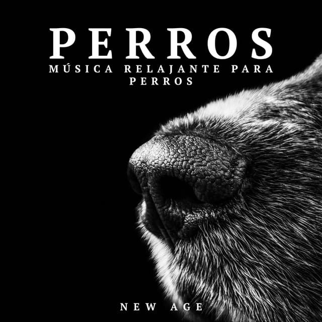 Perros: Musica Relajante para Perros - Dog Whisper