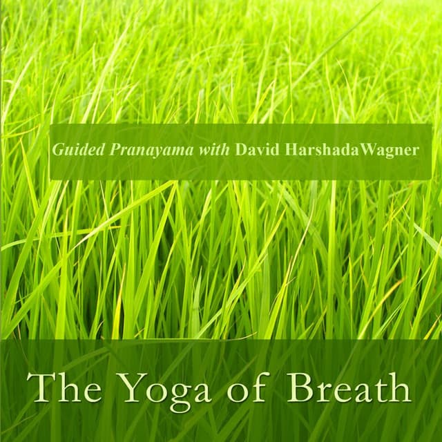 The Yoga of Breath: Guided Pranayama With David Harshada Wagner - Music for Deep Meditation