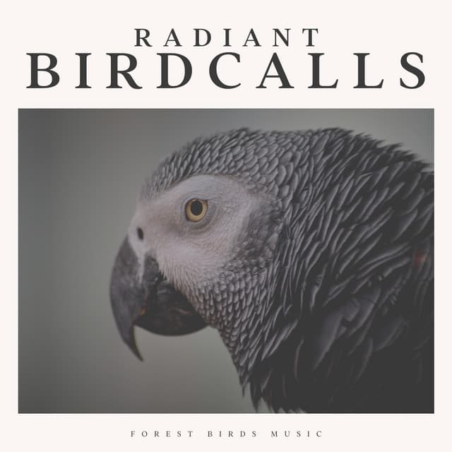 Radiant Birdcalls - Life Sounds Nature