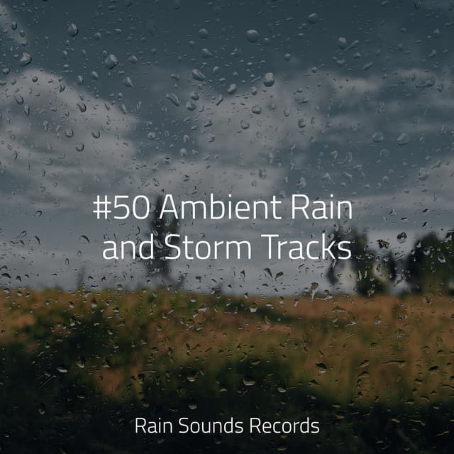 #50 Ambient Rain and Storm Tracks - Sonidos De Truenos y Lluvia