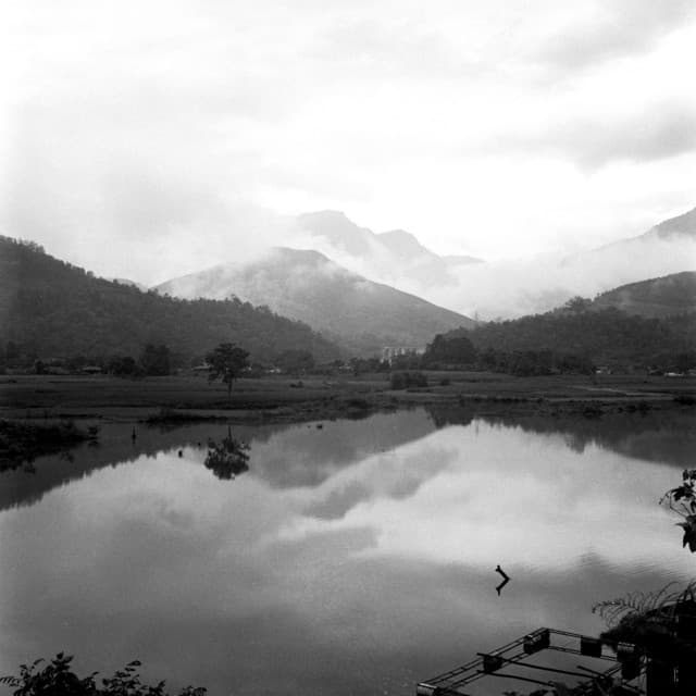 365 Wellness: Feeling Focused - Yoga Music