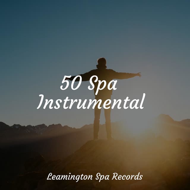 50 Spa Instrumentals - Entspannungsmusik