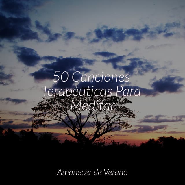 50 Canciones Terapéuticas Para Meditar - Musica Relajante