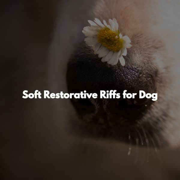 Soft Restorative Riffs for Dog - Luxury Lounge Cafe Allstars