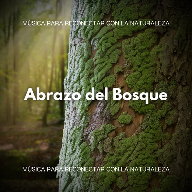 Abrazo del Bosque: Música para Reconectar con la Naturaleza - Musica Relajante