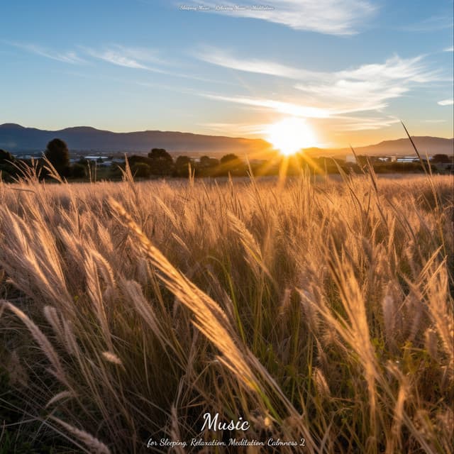 Music for Sleeping, Relaxation, Meditation, Calmness 2 - Sleeping Music