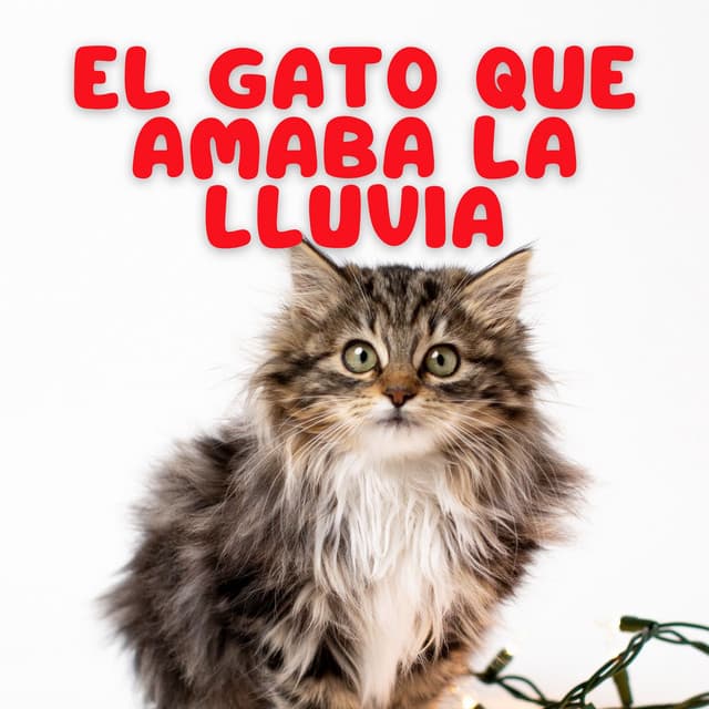 El Gato Que Amaba La Lluvia - Musica Lluvia Tranquila
