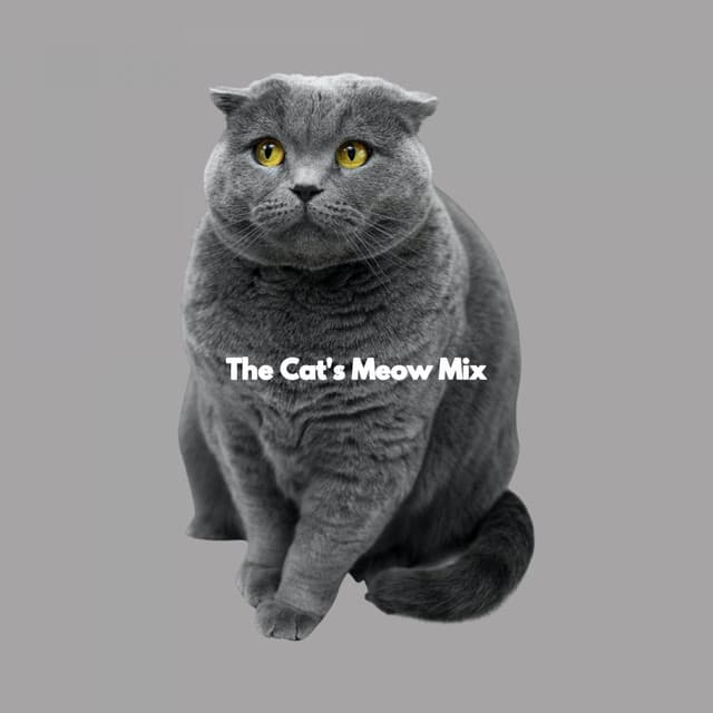 The Cat's Meow Mix - Relaxation Channel