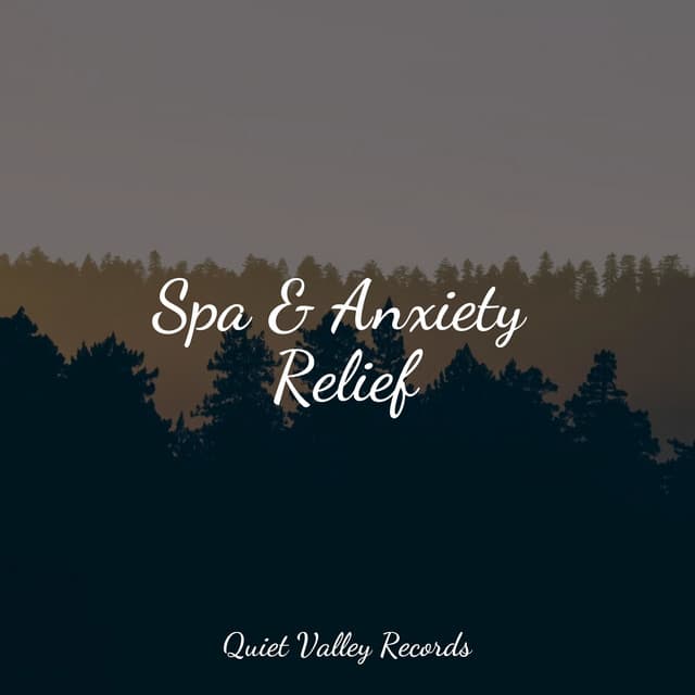 Spa & Anxiety Relief - Meditation Awareness