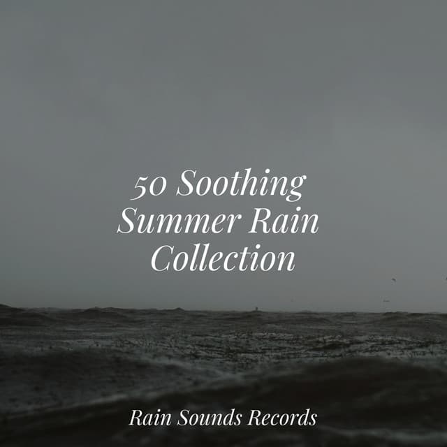 50 Soothing Summer Rain Collection - Sonidos De Truenos y Lluvia
