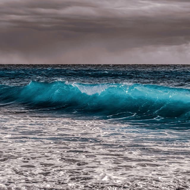 10 AM Wellness: Shoreline Spirit - Coastal Sounds