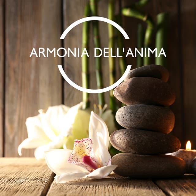 Armonia dell'anima: Musica zen antistress per pace interiore, Pensiero positivo, Canzoni rilassarsi - Relax accademia di benessere