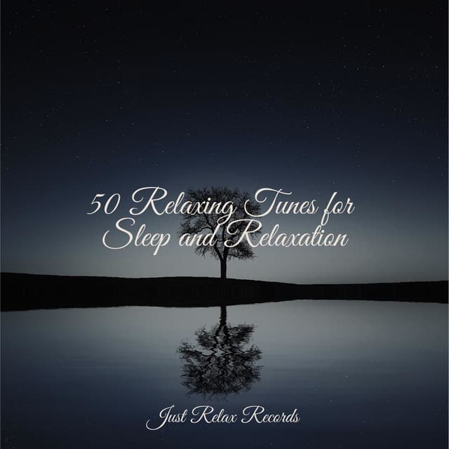 50 Relaxing Tunes for Sleep and Relaxation - Mantra para Dormir