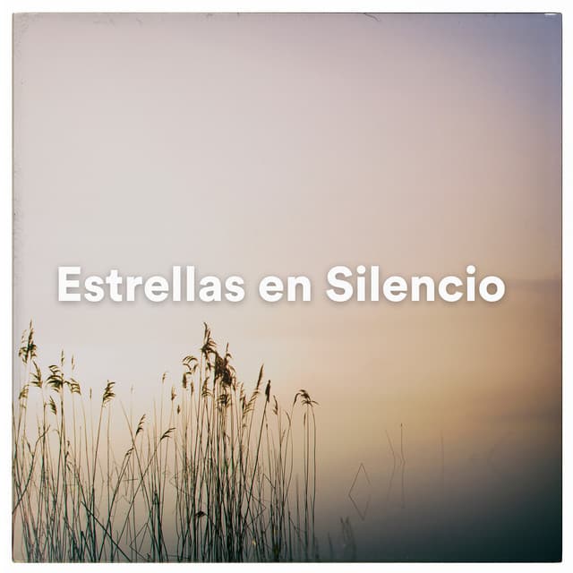 Estrellas en Silencio - Bien Dormir
