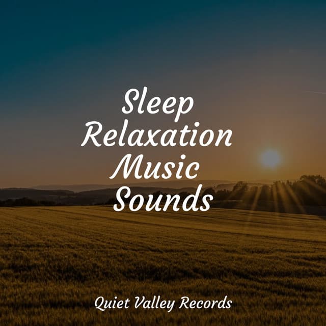 Sleep Relaxation Music Sounds - Sleep Recording Sounds