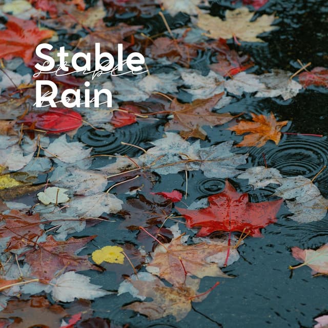 Stable Rain - Rainfall
