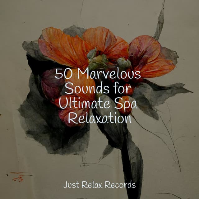 50 Marvelous Sounds for Ultimate Spa Relaxation - Sonidos De Lluvia y Tormentas