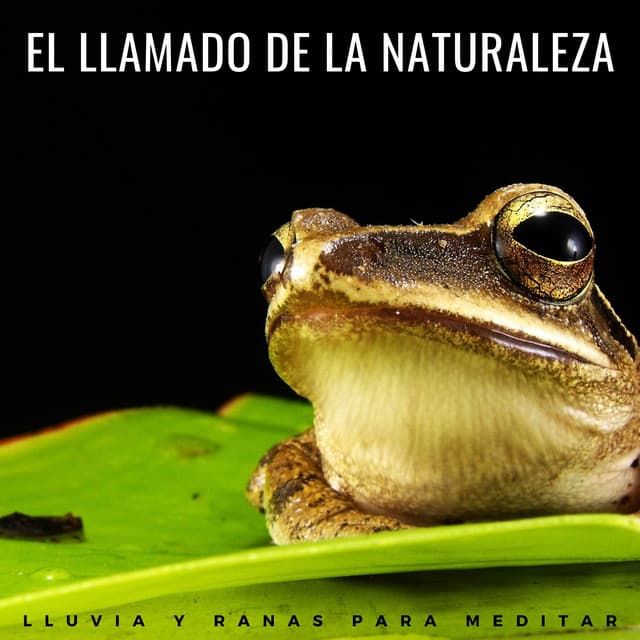 Meditación Lluvia Sonidos
