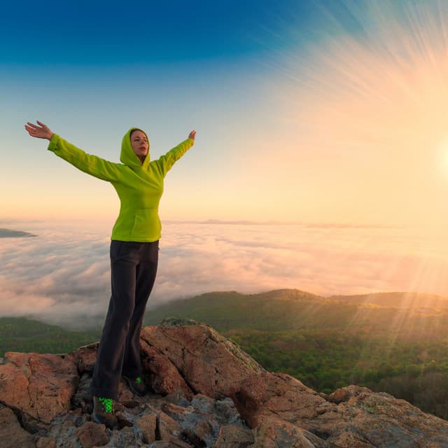 Wilderness Whispers: Embracing Nature's Serene Melodies - Wildlife Sound Recordings