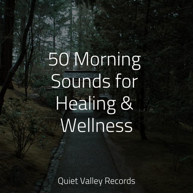 50 Morning Sounds for Healing & Wellness - Nature Sound Series