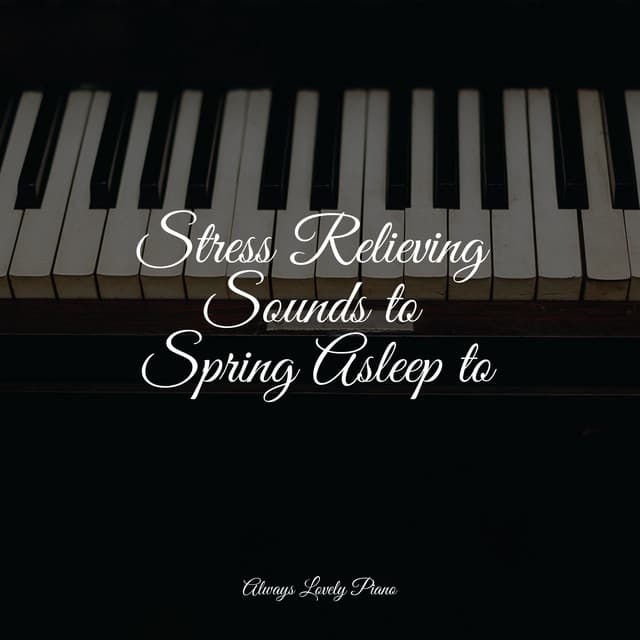 50 Calming Piano Tracks to Melt Your Stress Away - Piano Bar Music Specialists