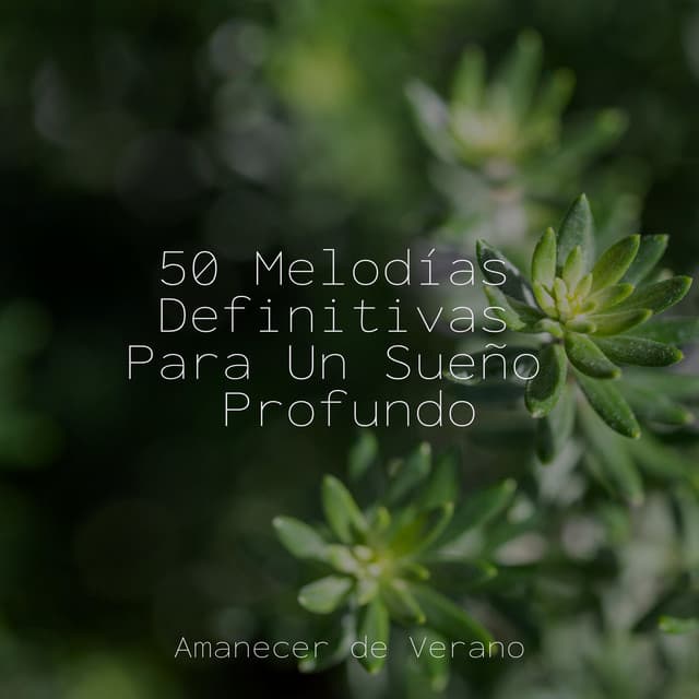 50 Melodías Definitivas Para Un Sueño Profundo - Meditación