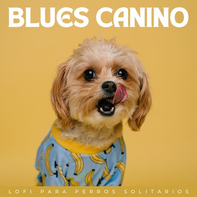 Blues Canino: Lofi Para Perros Solitarios - Colores de la ciudad de Lofi
