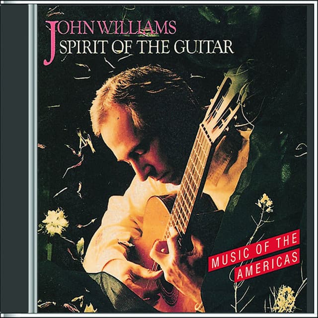 Spirit of the Guitar - John C. Williams