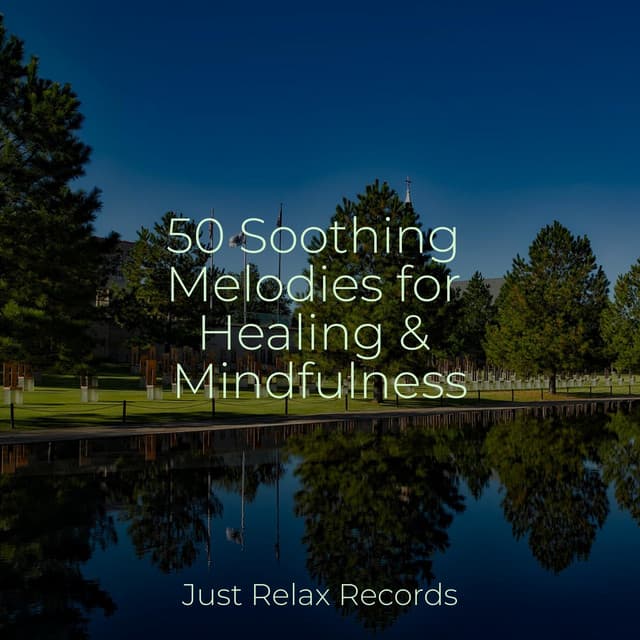 50 Soothing Melodies for Healing & Mindfulness - Yoga Sounds