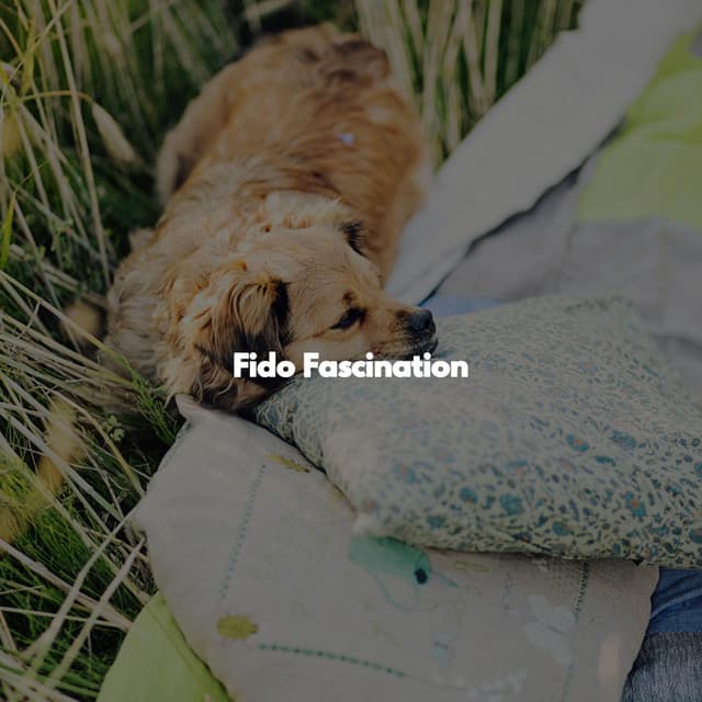 Fido Fascination - Cheerful Instrumental Cafe Jazz
