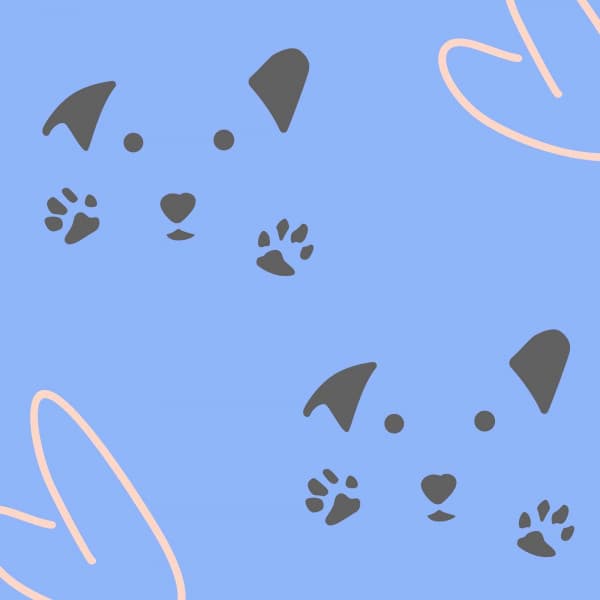 Echoes of Calming Your Cancine - Relax My Puppy