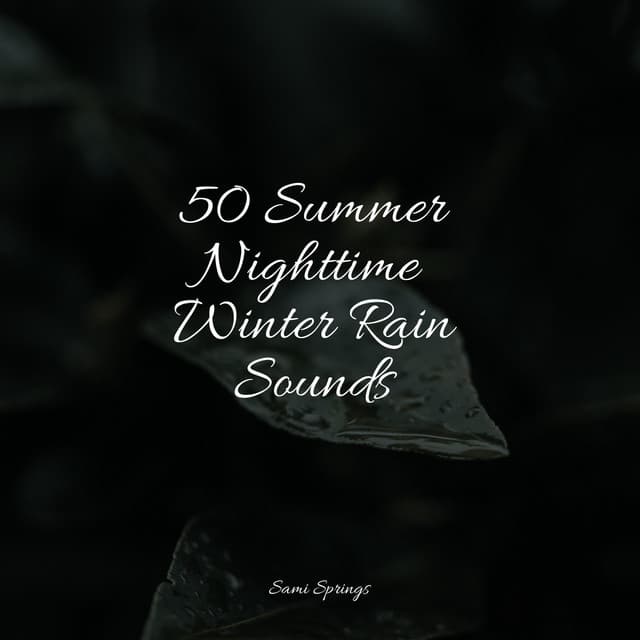 50 Summer Nighttime Winter Rain Sounds - Kinderlieder Megastars