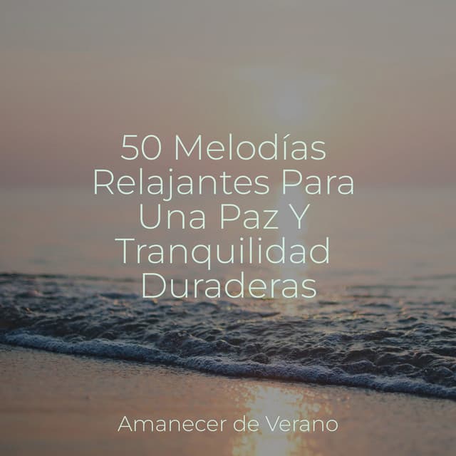 50 Melodías Relajantes Para Una Paz Y Tranquilidad Duraderas - Sonido Del Bosque y Naturaleza