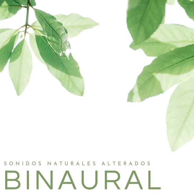 Sonidos Binaurales