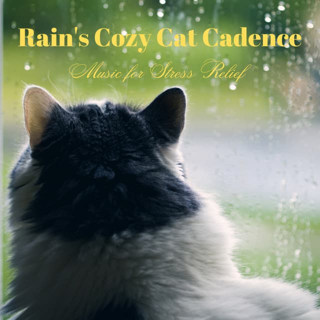 Rain's Cozy Cat Cadence: Music for Stress Relief - Nataural