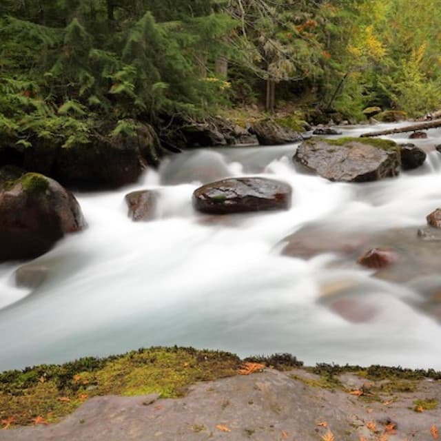 Matteo Carcassi, 25 Melodic and Progressive Études, Op. 60 - Matteo Carcassi