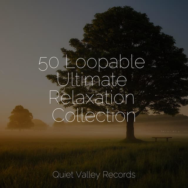 50 Loopable Ultimate Relaxation Collection - It's Raining