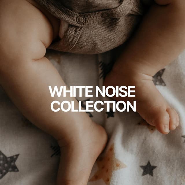 White Noise Collection - Official White Noise Collection
