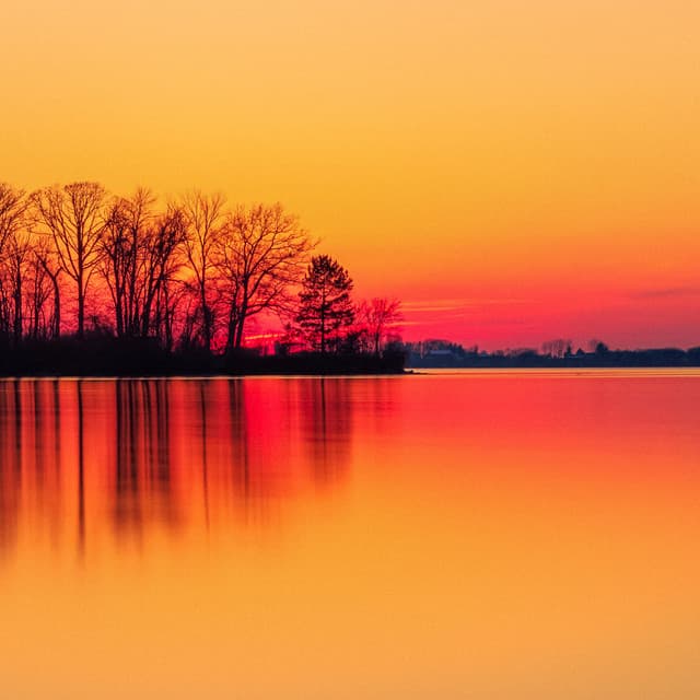 50 White Noise Sounds For Sleeping: Ambient Whisper - White Noise